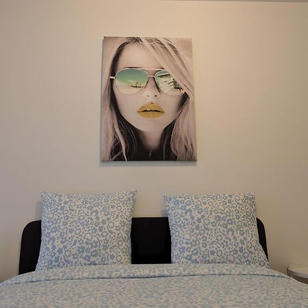 Le Vauban - Appartement 2 Chambres, Salon, Cuisine Equipee, Parking Et Wifi Gratuit Mulhouse Esterno foto
